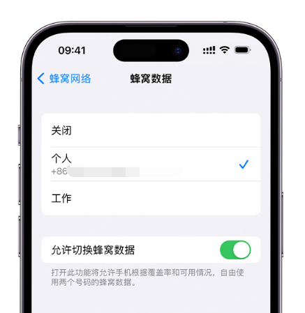 吉林苹果维修服务分享如何在iPhone上使用双卡 